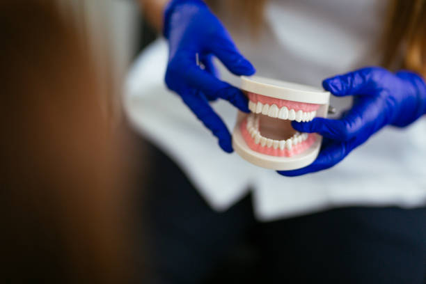 Trusted Sunbury, OH Holistic Dental Care Services Experts